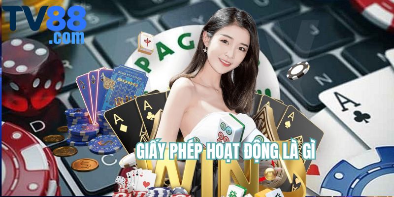 Giải thích chuyên sâu về giấy phép hoạt động nhà cái