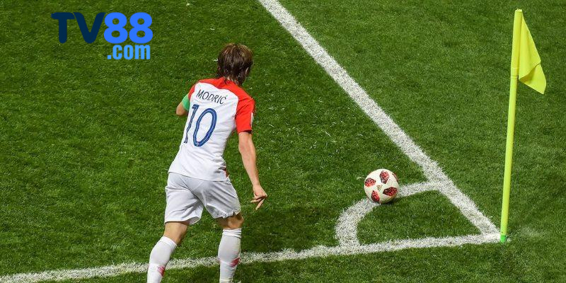 Nhận biết sự thay đổi tỷ lệ dễ dàng